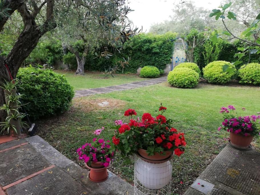 Villa Brezza Capaccio Kültér fotó